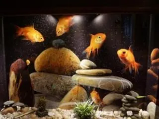 Grand Nar Adult Only 4*